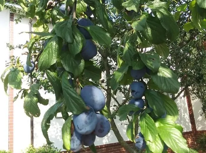 Taka Cisza Taki Spokoj *