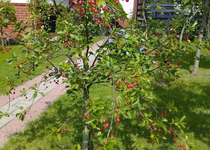 Taka Cisza Taki Spokoj Проживание в семье Колобжег