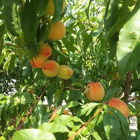 Taka Cisza Taki Spokoj