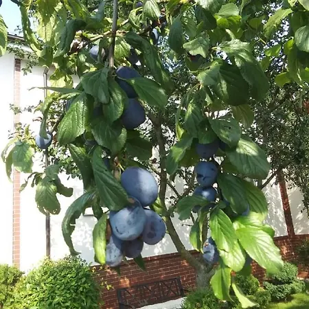 Taka Cisza Taki Spokoj *