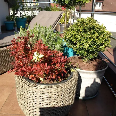 Taka Cisza Taki Spokoj 民宿