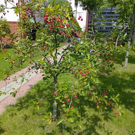 Taka Cisza Taki Spokoj Homestay Kolobrzeg