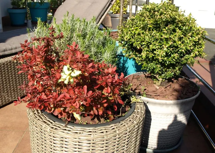 Taka Cisza Taki Spokoj בית אירוח